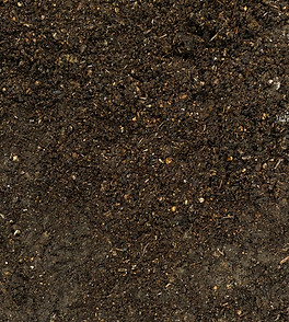 Earth/dirt