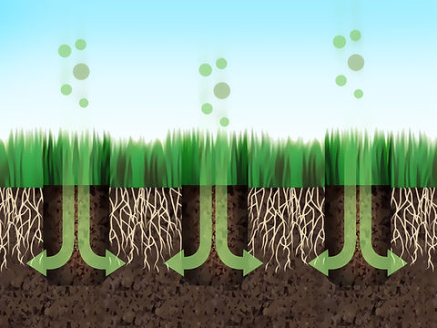 Artistic rendering of Aeravator process showing new lawn growth