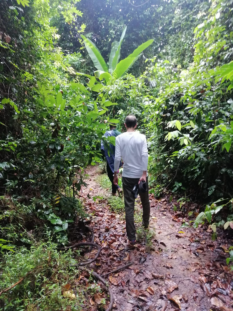 Pemba 1: Die Insel der fliegenden Füchse