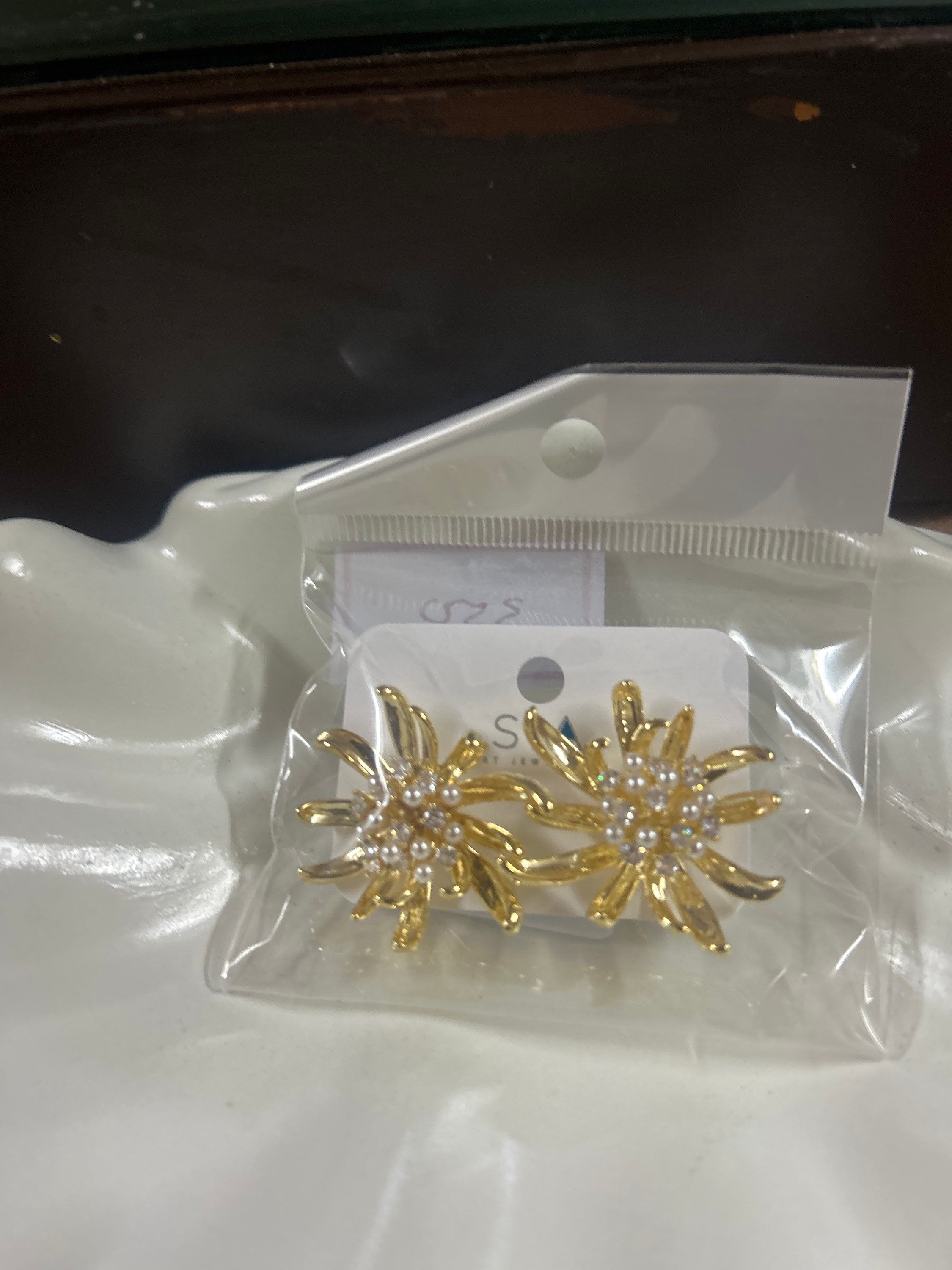 E-4-S25049254-Long Earring-Pair