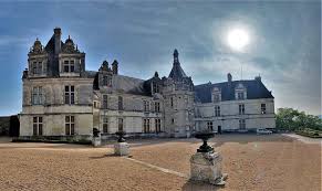Saint Aignan sur Cher | Zoo de Beauval | Touraine Cottage | Domaine des Aulnaies | Gite | gite de groupe | maisons de vacances | location de vacances | Sologne | Touraine | Tourisme en France | Lodge | Cottage  | Hotel | Chambre d'hote | hébergement | Loire a velo | loire by bike |