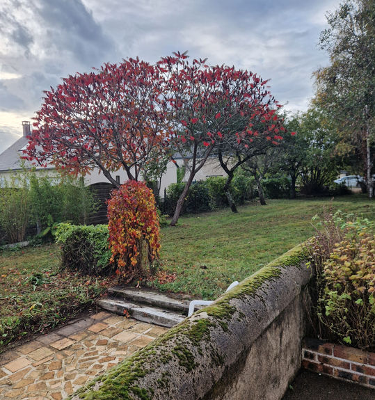 Tours | Amboise | Gite | Gite de groupe | Lodge | Cottage | Châteaux de la Loire | Vouvray | Montlouis/Loire | Azay le Rideau | Leonard de Vinci | Vacances en France | Vignoble | Truffe | Maisons de campagne | Touraine | Séminaire | Locations meublées | Maisons de vacances | Location de maisons de vacances | Chinon | Noel au pays des châteaux | Vacances entre amis | Vacances en famille | Histoire de France | Gastronomie | gare TGV | Aéroport de Tours | Chenonceau | Chambord | Chasse | pêche | Séjour à thème | vacances tout inclus | enfants | enfants bienvenue |