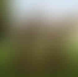 gite, gite de France, airbnb, bnb, booking, maisons de vacances, proche Paris