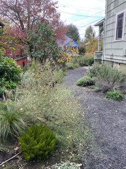 tarisiphone2023 - 8706