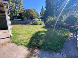 tarisiphone2023 - 8231