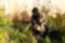 9Y0A1049 copy.jpg