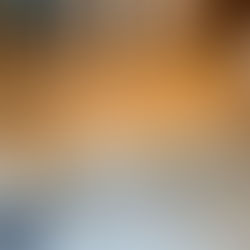 フローリング張替工事