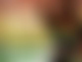 The Golden One: Cassandra Golden