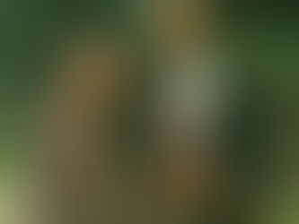 Living in China  1989 January-March 