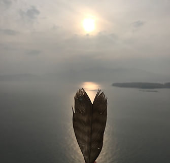 IMG_4508.jpeg