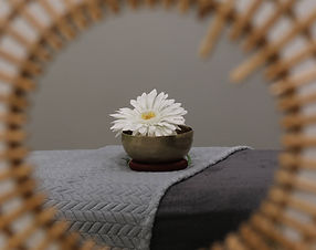 Institut (Nature'L) LinnSaé - Miho Visuels - 2P9A2559.jpg