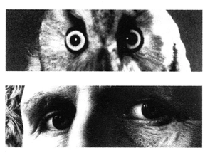O que Sebald sabia sobre imagens que o texto não deveria explicar; e porque isso importa para marcas autorais