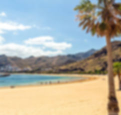 istockphoto-525212066-612x612.jpg