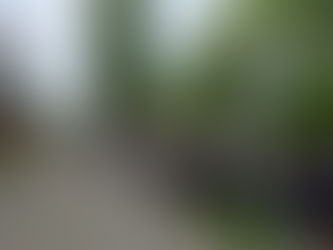 Конкурс строя и песни