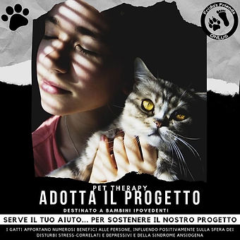 Mi_è_sembrato_di_vedere_un_gatto.jpeg