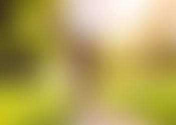 ビタミンDの現状と影響とは〜2025年最新〜