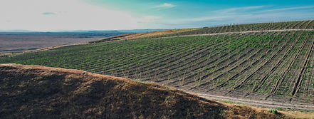 DJI_0300_edited.jpg