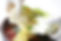 kimchi-7613318.jpg