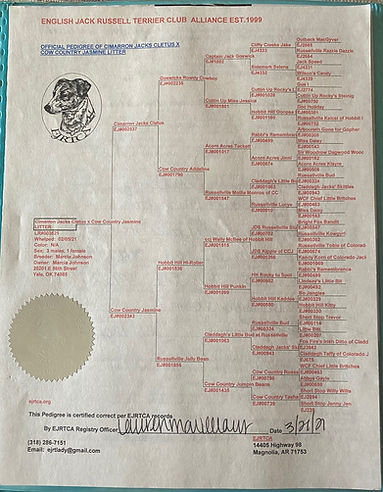 Blackbeery EJRTA.jpg