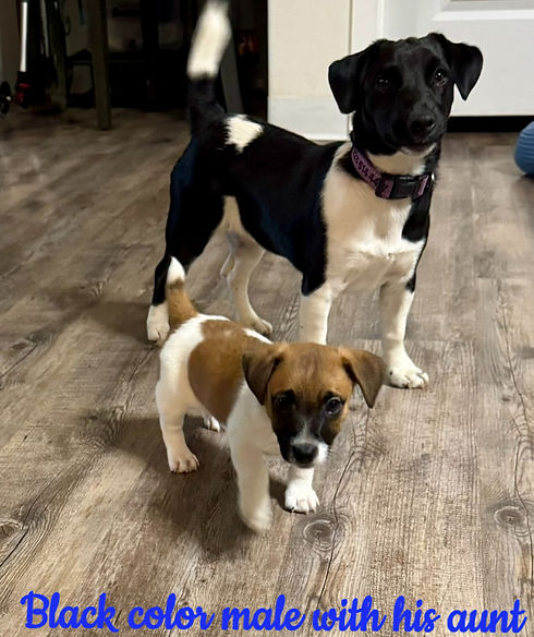 1DE46D5C-55E1-4E21-906A-F60CE9CB493D_1_1