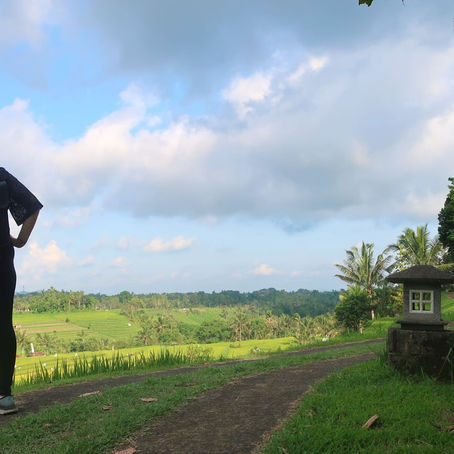 Embracing the New Year: Navigating the Energy of Renewal and Transformation