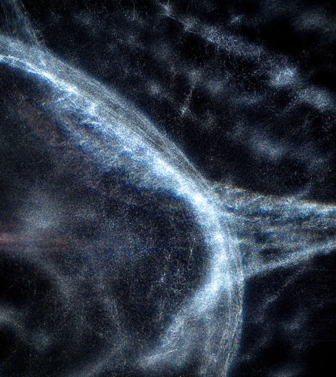 B0001437_edited.jpg