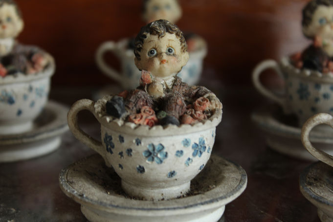 CUP of ROSES