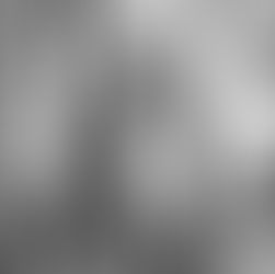 Kathya Araujo: La caída del orden