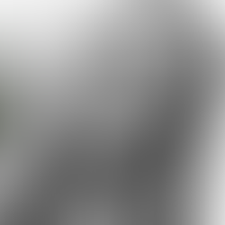 Pamela Jiles: No hay diferencia entre el Congreso y la farándula