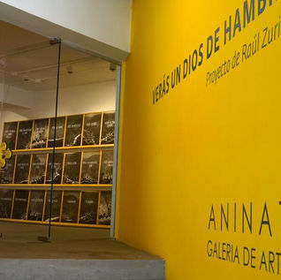 Isabel Aninat: “Ser galerista es una forma de mirar el mundo”