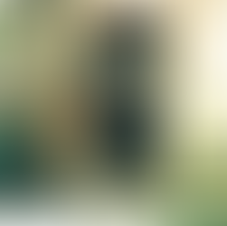 Sobre el cuerpo esquivo y otros desplazamientos