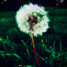 Entre melancolía y júbilo