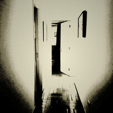 Los pájaros y el enigma en el corazón de las enredaderas