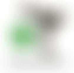 También un año de música