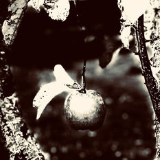 Muda, mezcla activa de partes encajadas