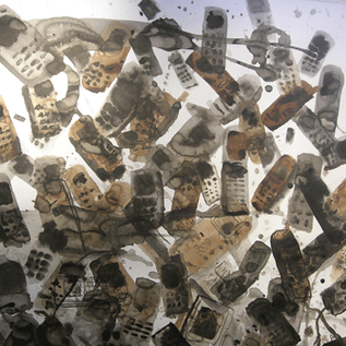 La condición celular