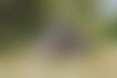 3 ways of Holding Space for Others