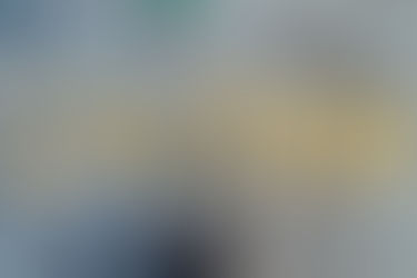 The Effects of Rigid Language