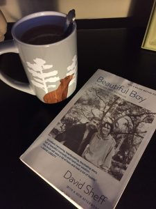 Beautiful Boy; book about addiction