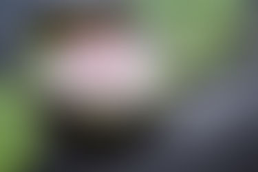 An Enlightening Poem About Grief