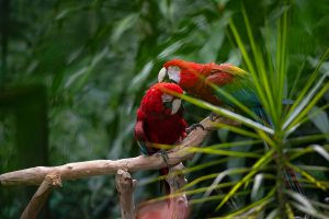 How to Push Back Against Indifference