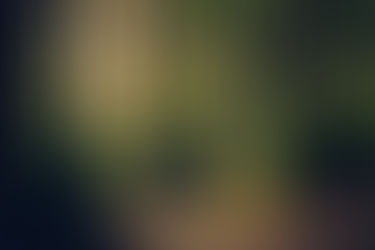 A Lovely Poem to Remind Us of Our Growth