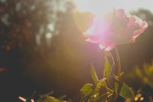 Things to Consider; Post 5