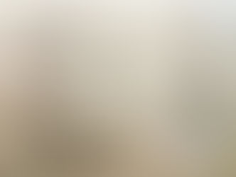 Ревизионная комиссия представляет отчет о финансовой деятельности ОСМД за отчетный период