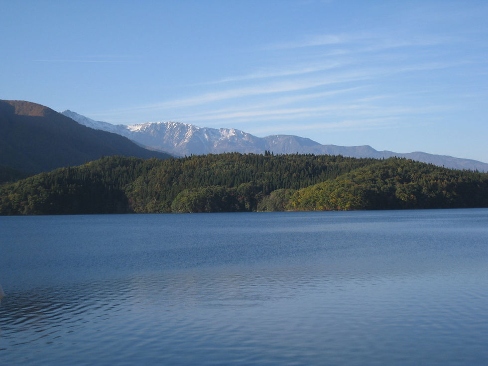 EEBF6D6E-7FE2-4CDA-A2FE-DF51C1C88084_1_105_c.jpeg