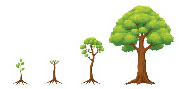 diagram show growth from small plant to small tree to medium size tree then to big grown tree.jpg
