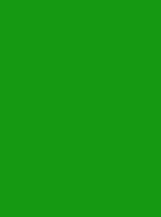 Green_edited_edited_edited.jpg