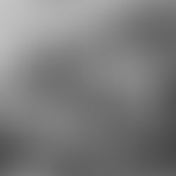 Balak - Numbers 22:2-25:9 - 7/10/25