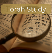 Torah-Study.png