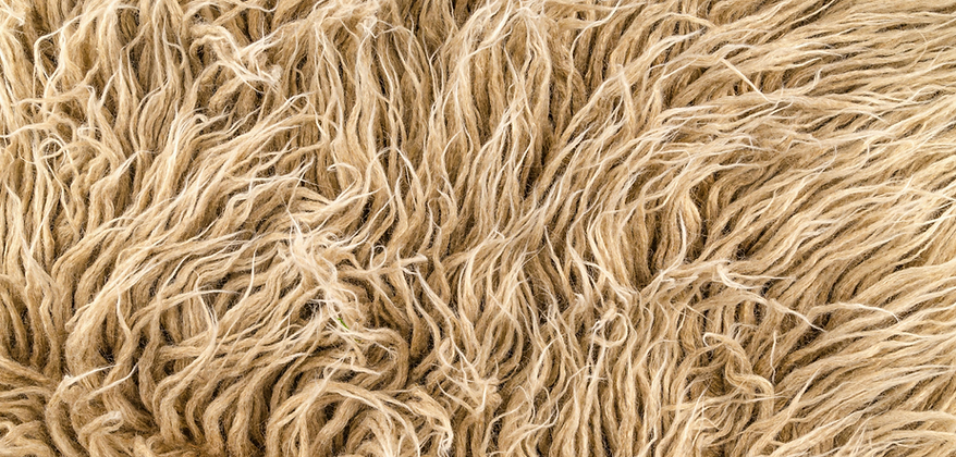 Screen Shot 2024-11-15 at 1.34.02 AM.png